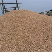 沙洛瓦主场不敌莫斯科法德滕斯,遭遇连败,战绩斐然的简单介绍 沙洛瓦主场不敌莫斯科法德滕斯,遭遇连败,战绩斐然的简单介绍