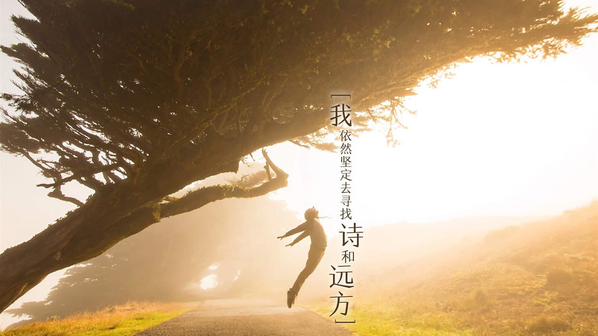 当独行侠遇上掘金高原，解码东契奇，何为真正的硬仗之王？