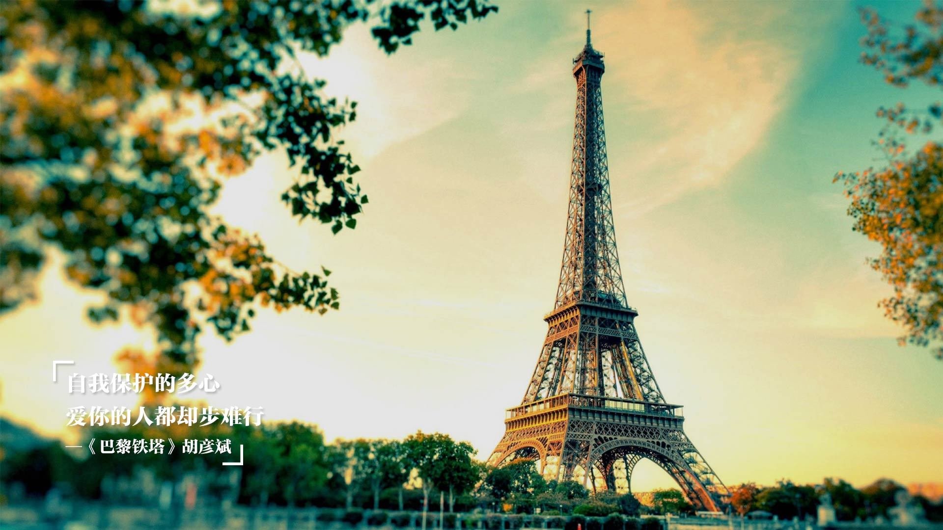 赛道掌控力,当范弗利特在芝加哥踩下冠军油门